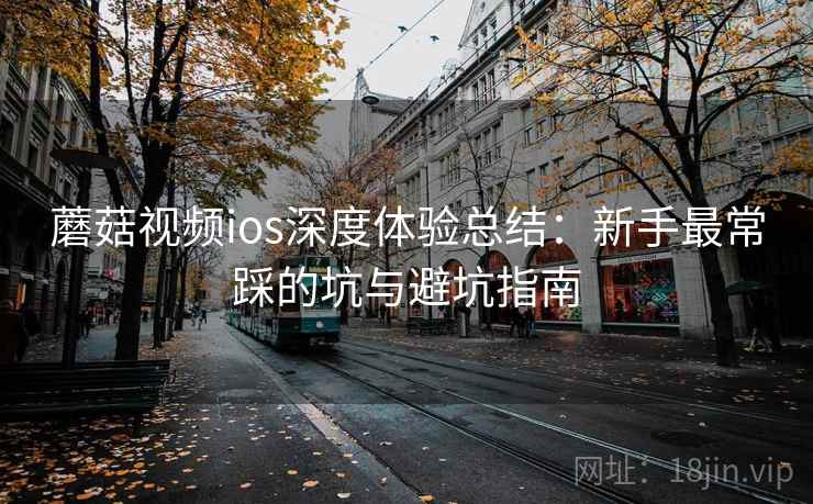 蘑菇视频ios深度体验总结：新手最常踩的坑与避坑指南  第2张