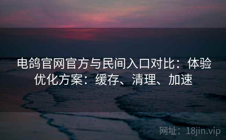 电鸽官网官方与民间入口对比：体验优化方案：缓存、清理、加速