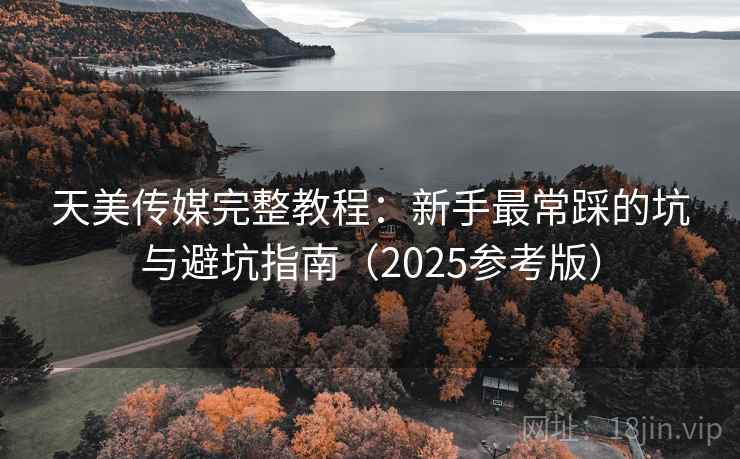 天美传媒完整教程:新手最常踩的坑与避坑指南(2025参考版)