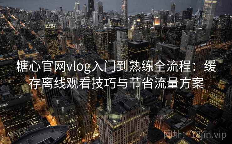 糖心官网vlog入门到熟练全流程：缓存离线观看技巧与节省流量方案  第1张
