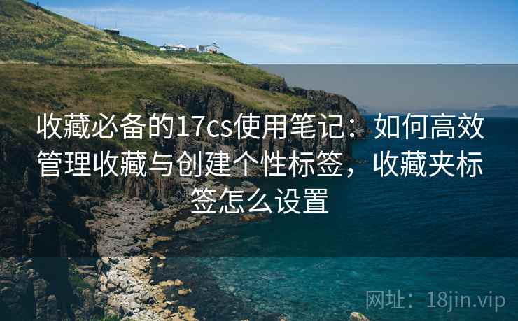 收藏必备的17cs使用笔记：如何高效管理收藏与创建个性标签，收藏夹标签怎么设置  第1张