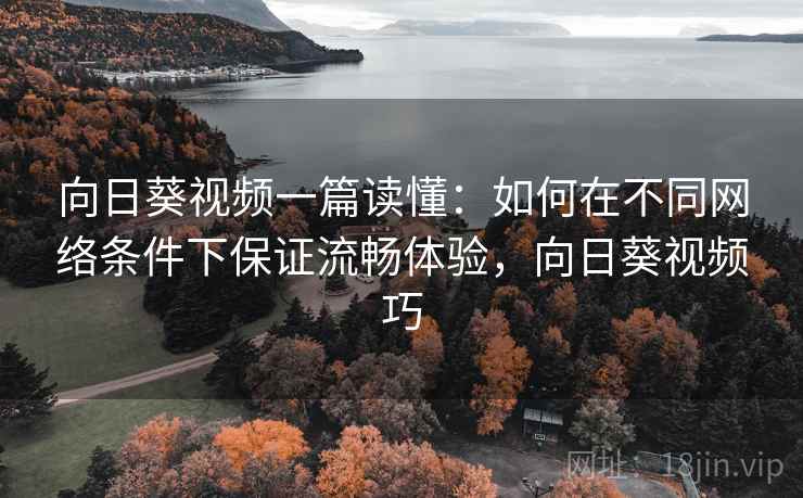 向日葵视频一篇读懂：如何在不同网络条件下保证流畅体验，向日葵视频巧