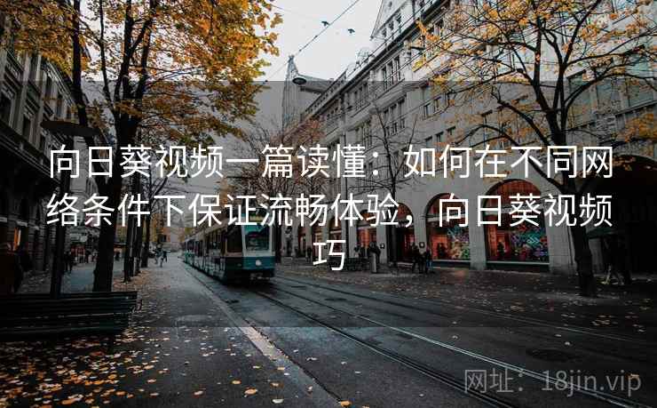 向日葵视频一篇读懂：如何在不同网络条件下保证流畅体验，向日葵视频巧