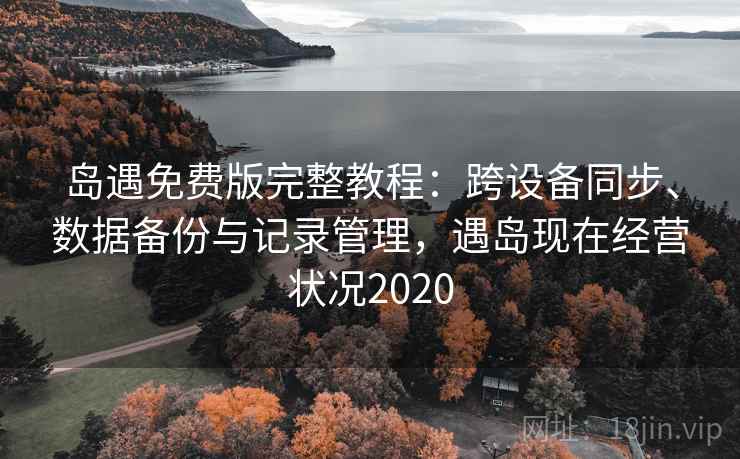 岛遇免费版完整教程：跨设备同步、数据备份与记录管理，遇岛现在经营状况2020  第1张
