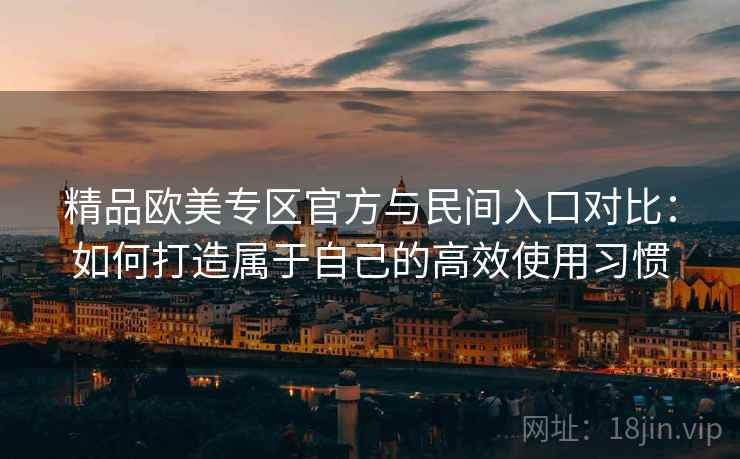 精品欧美专区官方与民间入口对比：如何打造属于自己的高效使用习惯