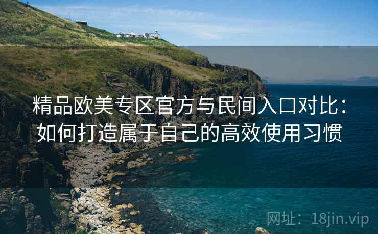 精品欧美专区官方与民间入口对比：如何打造属于自己的高效使用习惯