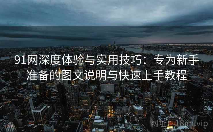 91网深度体验与实用技巧:专为新手准备的图文说明与快速上手教程