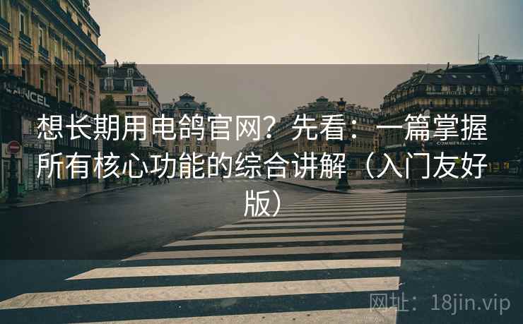 想长期用电鸽官网?先看:一篇掌握所有核心功能的综合讲解(入门友好版)