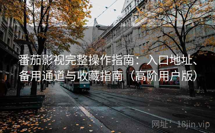 番茄影视完整操作指南:入口地址、备用通道与收藏指南(高阶用户版)