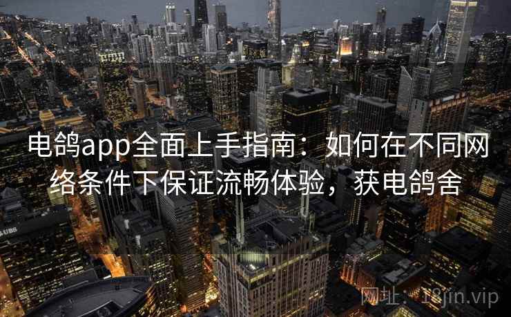 电鸽app全面上手指南:如何在不同网络条件下保证流畅体验,获电鸽舍