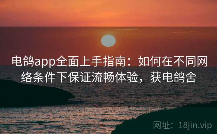 电鸽app全面上手指南:如何在不同网络条件下保证流畅体验,获电鸽舍