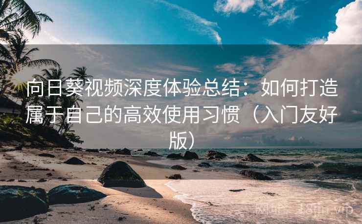 向日葵视频深度体验总结：如何打造属于自己的高效使用习惯（入门友好版）