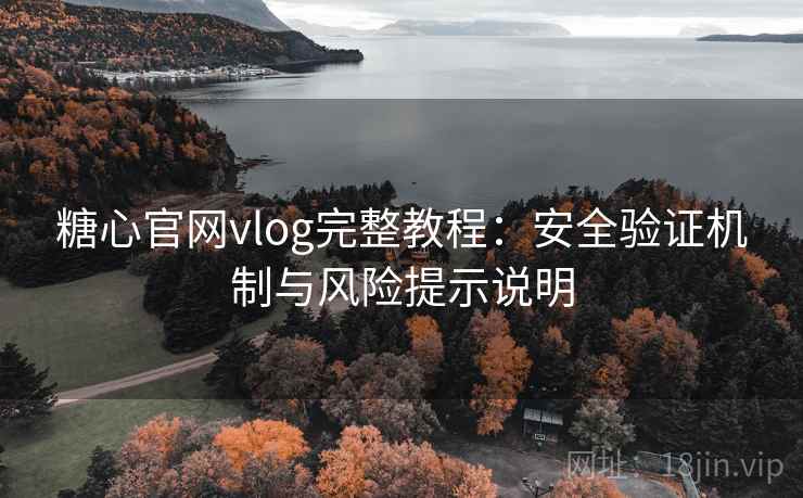 糖心官网vlog完整教程:安全验证机制与风险提示说明