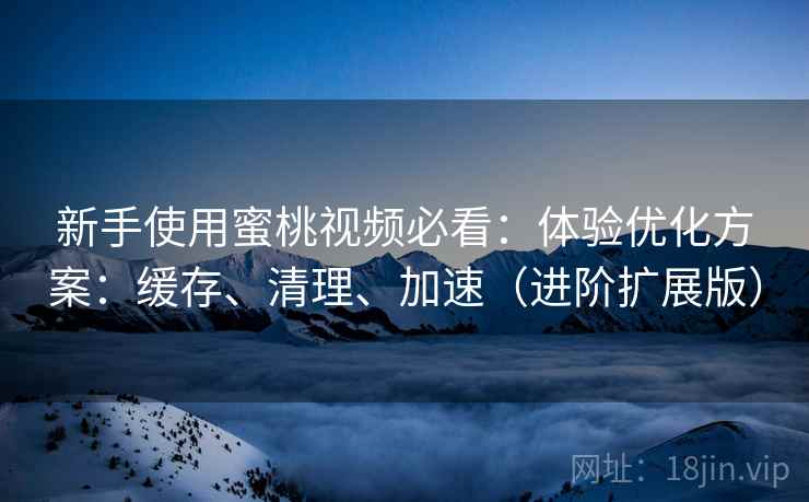 新手使用蜜桃视频必看:体验优化方案:缓存、清理、加速(进阶扩展版)