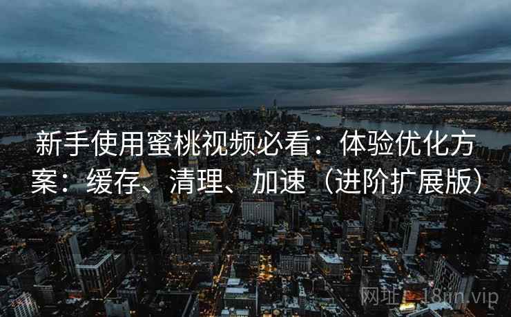 新手使用蜜桃视频必看:体验优化方案:缓存、清理、加速(进阶扩展版)