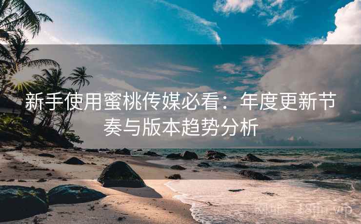 新手使用蜜桃传媒必看:年度更新节奏与版本趋势分析